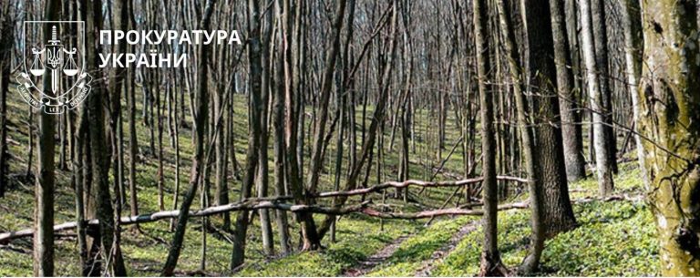 10 гектарів лісу на Прикарпатті незаконно віддали під фермерство 4 731068440 1518224873174527 3816388019371074176 n e1782482693707