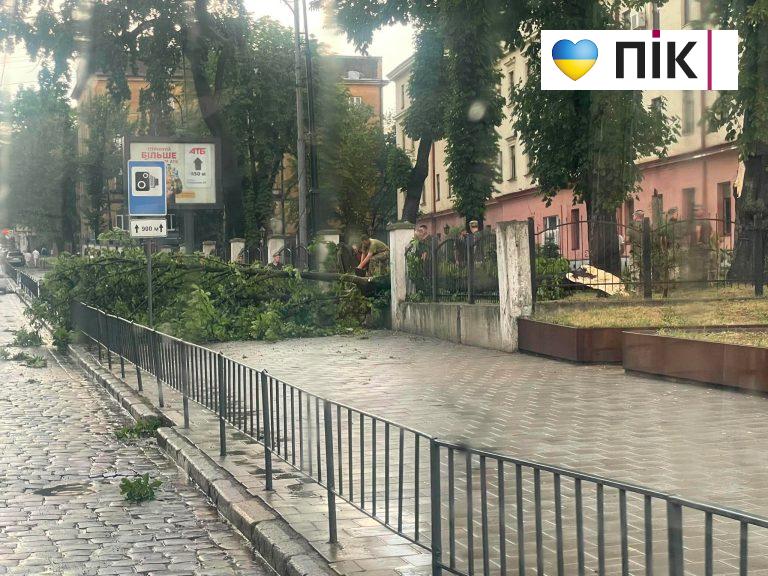 Після сильної спеки Львів накрила негода: пошкоджена інфраструктура, повалені дерева (ФОТО) 2 731495212 1858177598926735 5869493792337661396 n