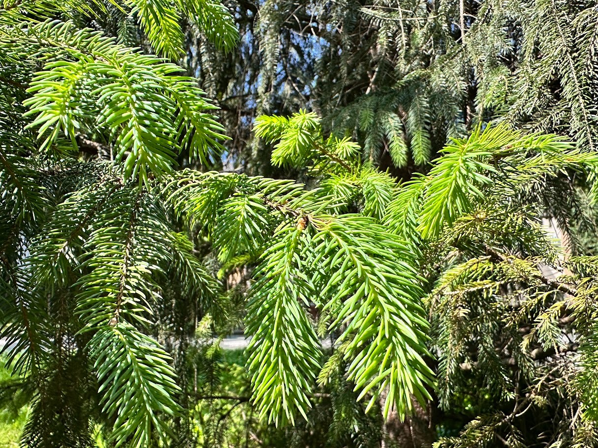 image 35