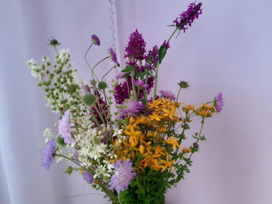 image 64