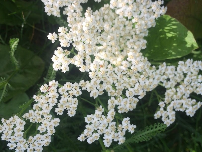 image 70
