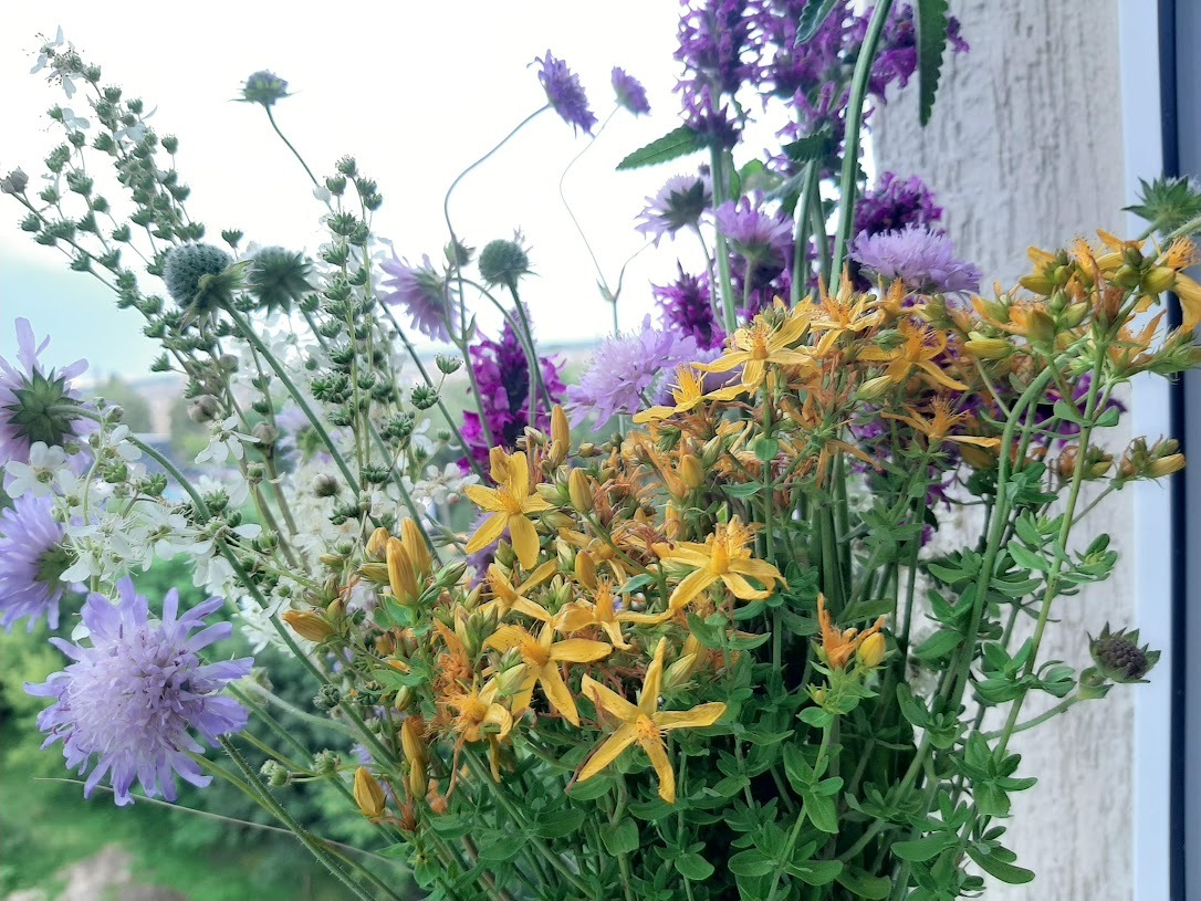 image 74