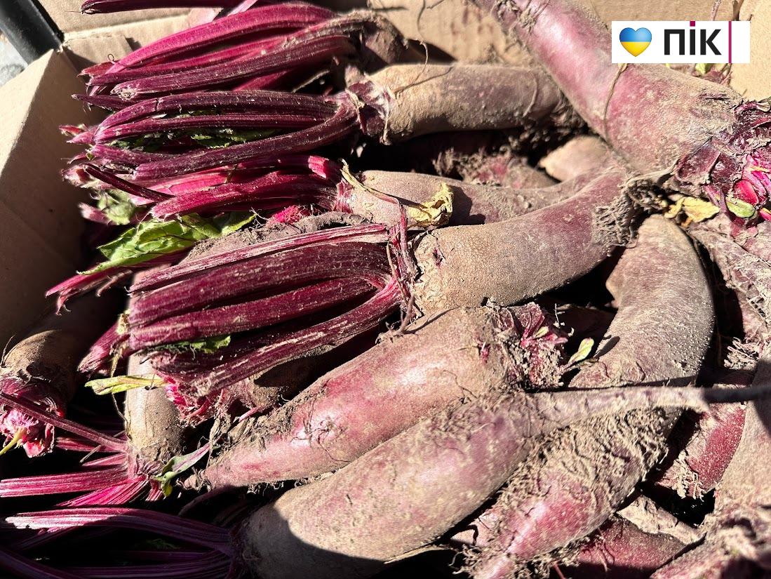 Доступність, ціни і виробники: чим приваблює ринок у Хриплині (ФОТОРЕПОРТАЖ) 7 image 86