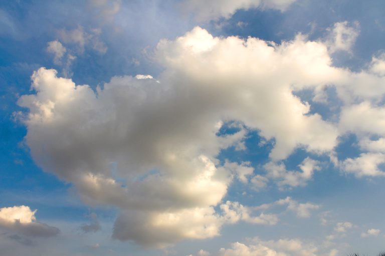 pexels icon0 479507 1