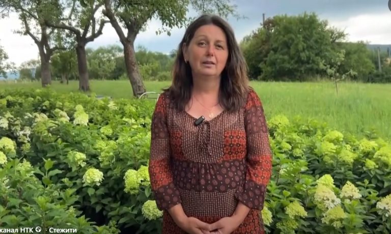 Мешканка Печеніжина вирощує 50 сортів гортензій (ВІДЕО) 9 Мешканка Печеніжина вирощує 50 сортів гортензій (ВІДЕО)