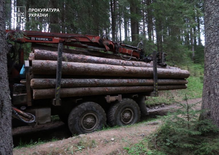 22 колоди ялини та трактор: на Прикарпатті судитимуть двох чоловіків (ФОТО)