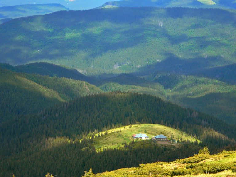 Pozhyzhevska4
