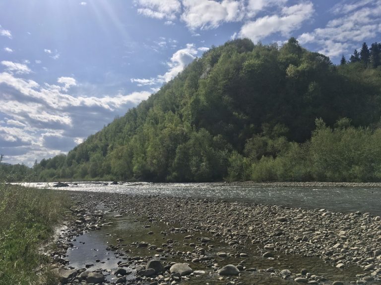 У Бистриці Надвірнянській можна купатися: повторні аналізи води відповідають нормам 11 Richka Bystrytsya Nadvirnyanska krayevyd 1
