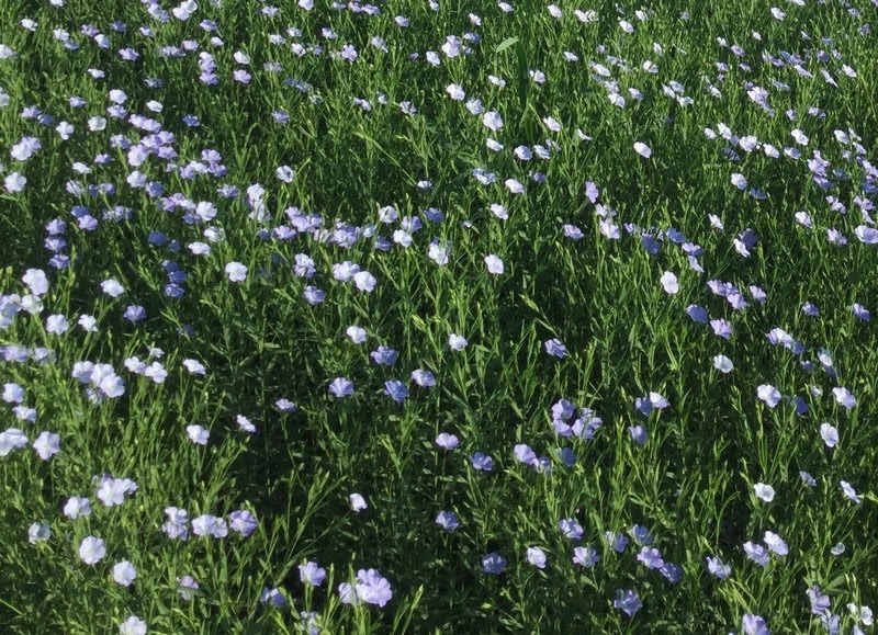 image 29