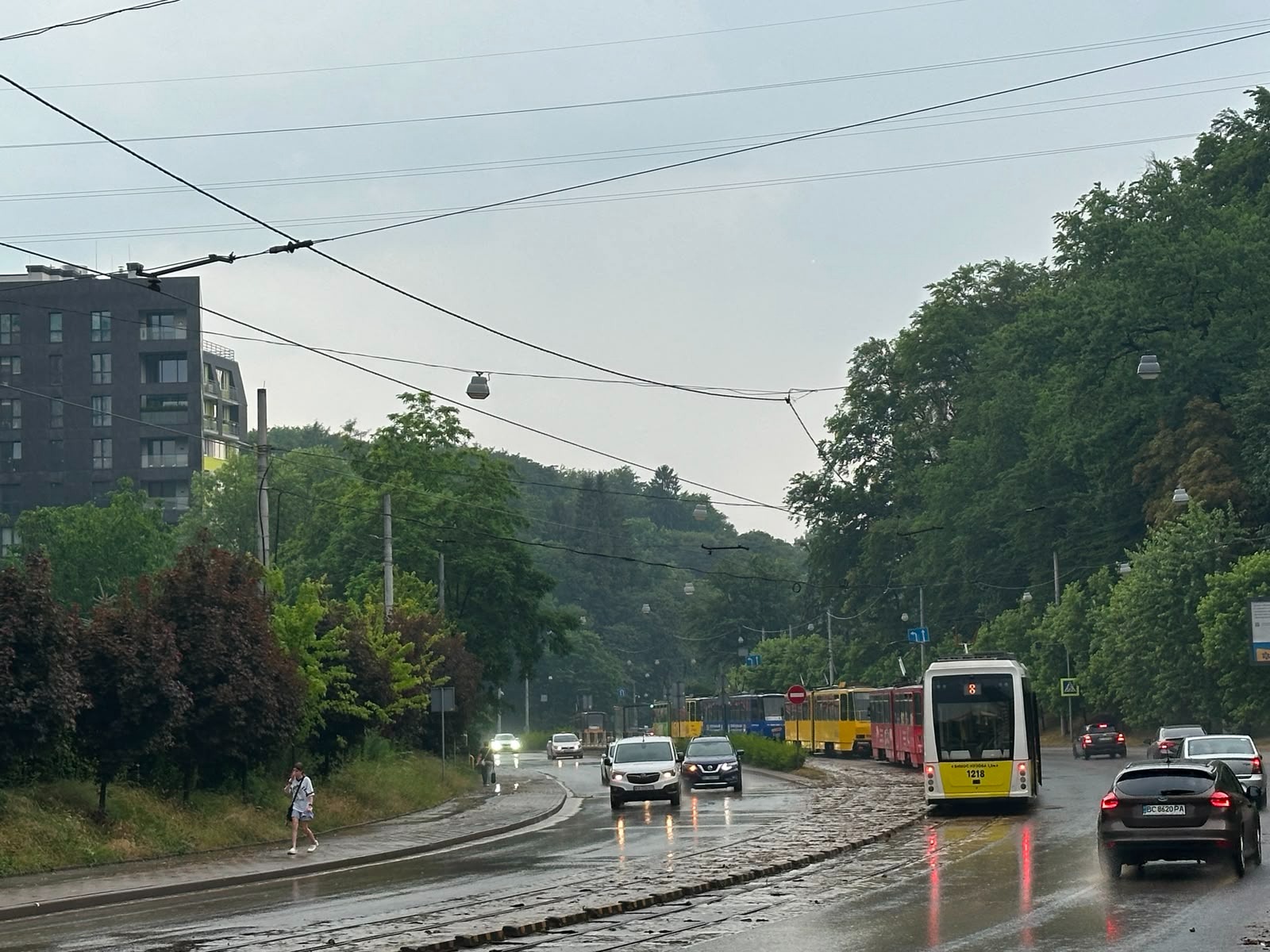 Поховання у Львові: хто отримує місце безкоштовно, а для кого є місця по 400-500 тисяч гривень 6 image 4