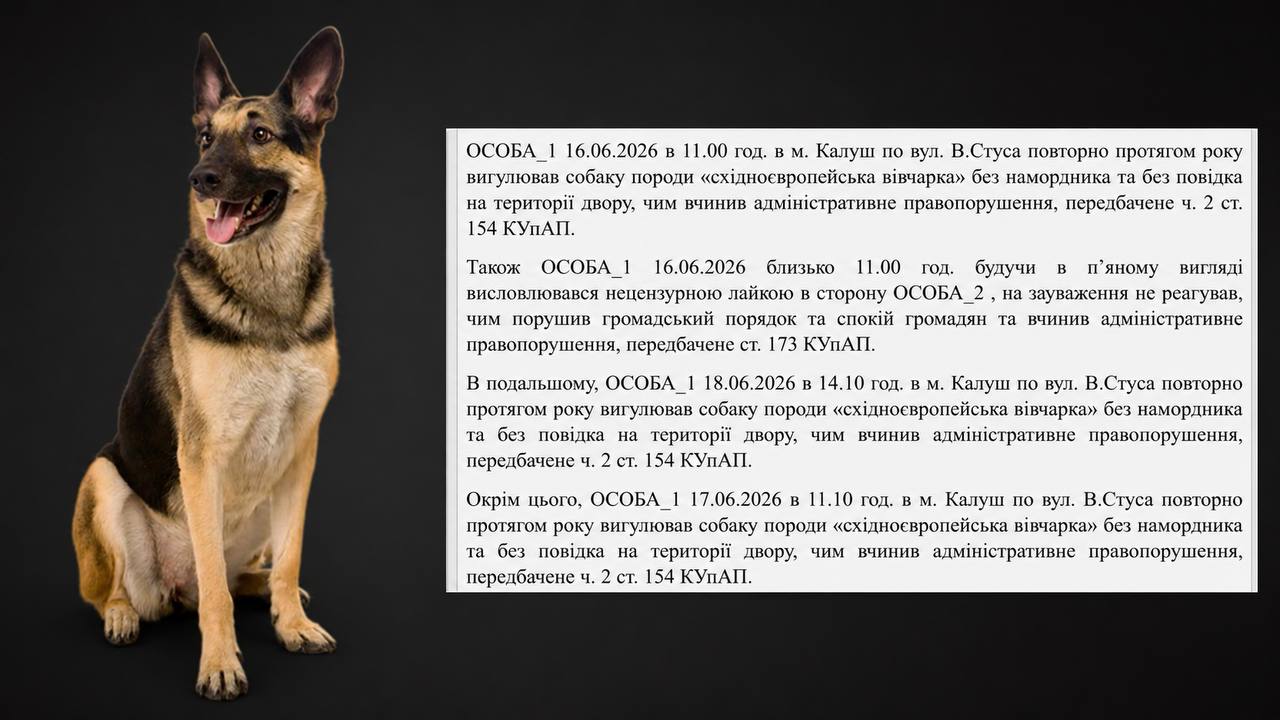 У Калуші люди зібралися біля поліції, вимагаючи розслідування інциденту із "знешкодження" собаки (ФОТО) 7 photo 2026 07 20 12 53 13