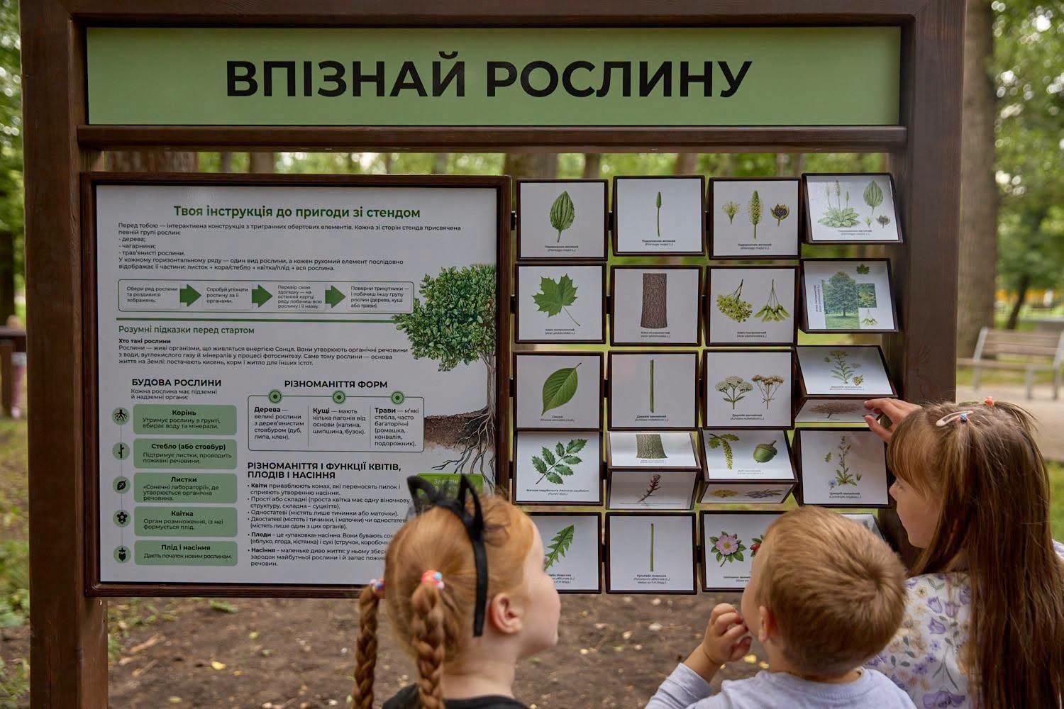 У Молодіжному парку Франківська триває масштабне оновлення: що вже зробили (ФОТО) 1 763854146 1056735790175103 8499702776070910988 n 1