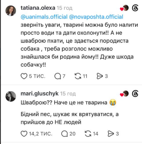 Працівники "Нової пошти" виштовхали собаку на вулицю у сильну спеку: їх звільнили (ВІДЕО) 4 Znimok ekrana 2026 08 07 155719