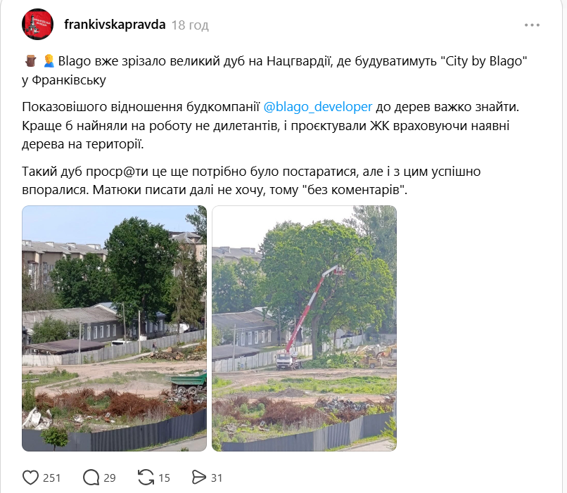 Хто в Івано-Франківську відповідає за дерева та куди вони діваються після зрізання? 2 image 17