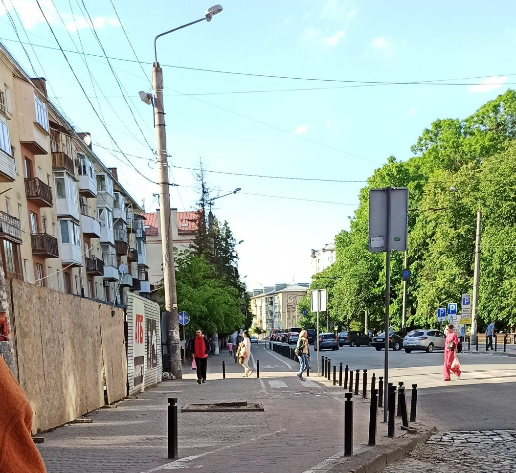 Хто в Івано-Франківську відповідає за дерева та куди вони діваються після зрізання? 3 image 24