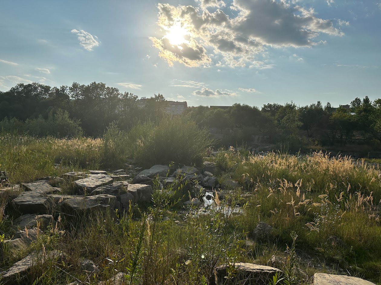 image 64