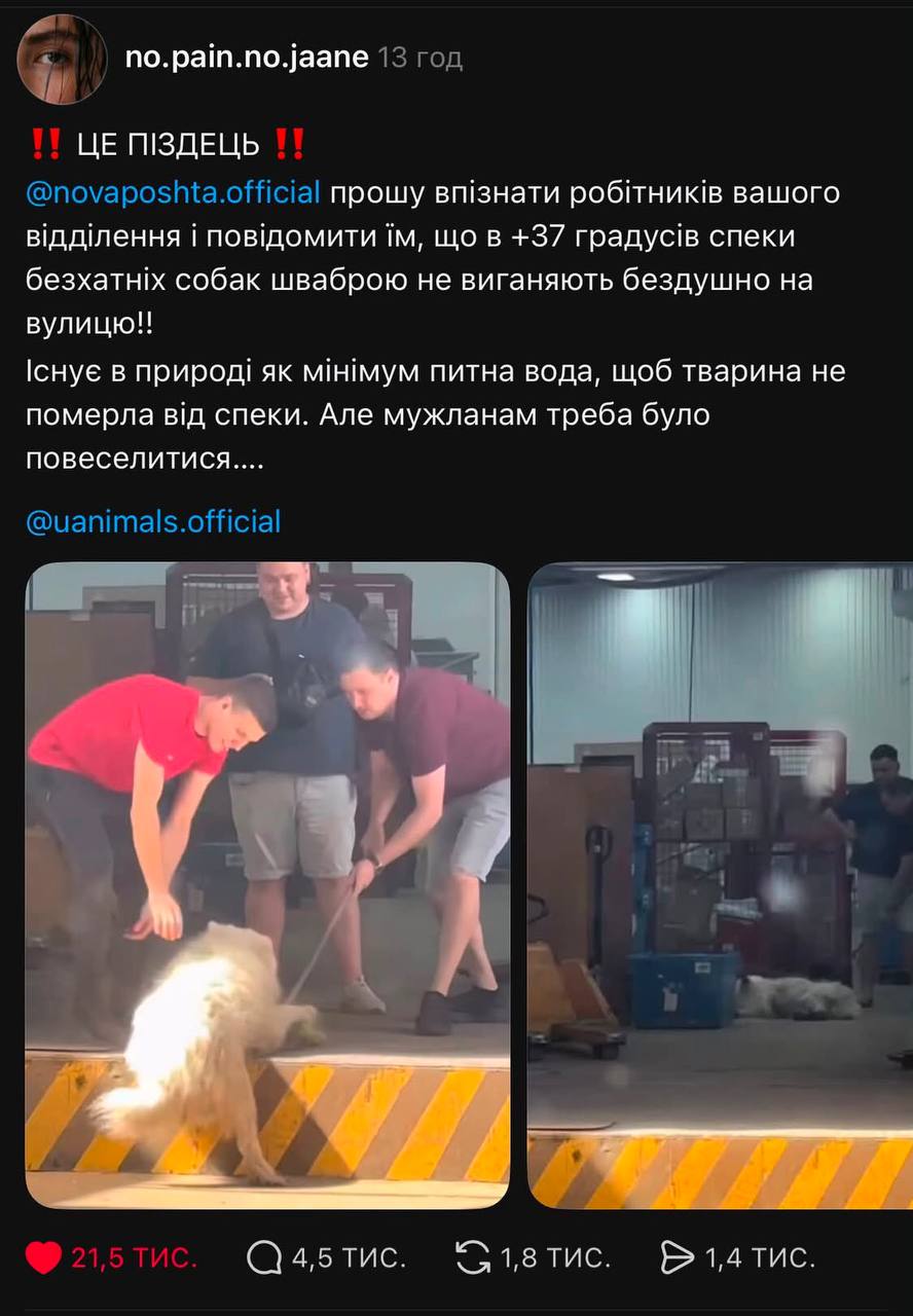 Працівники "Нової пошти" виштовхали собаку на вулицю у сильну спеку: їх звільнили (ВІДЕО) 2 photo 2026 08 07 15 40 40