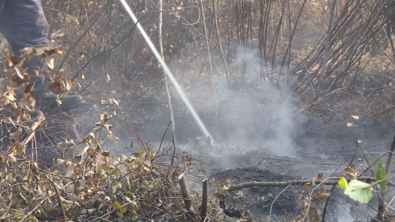Пожежу локалізували, але мох і коріння продовжують тліти: пояснили причини задимлення на Калущині (ФОТО) 3 790425781 3992246351082013 5525646894638733088 n