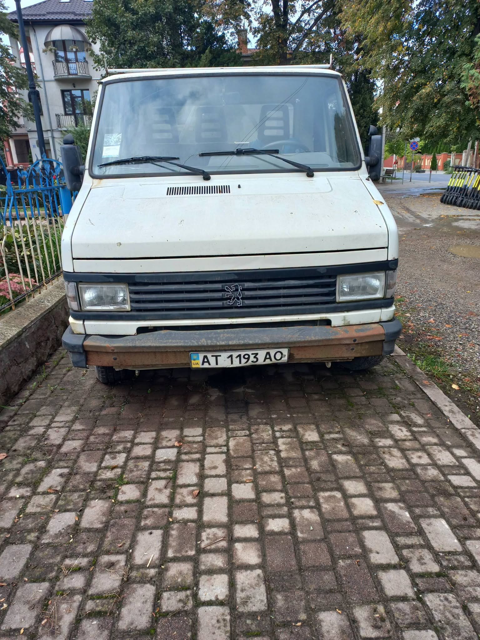 796943084 1295889139221696 4787337983049265351 n