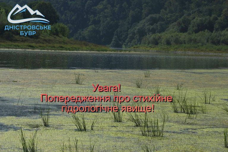 На Прикарпатті міліють річки: рівні води місцями досягли історичних мінімумів 2 799869662 1384347540542846 5149069082663577780 n 1