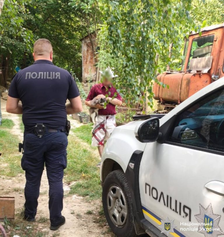 У Косові перевірили інформацію про жорстоке поводження з тваринами: що з’ясували 8 photo 2026 09 04 12 58 58