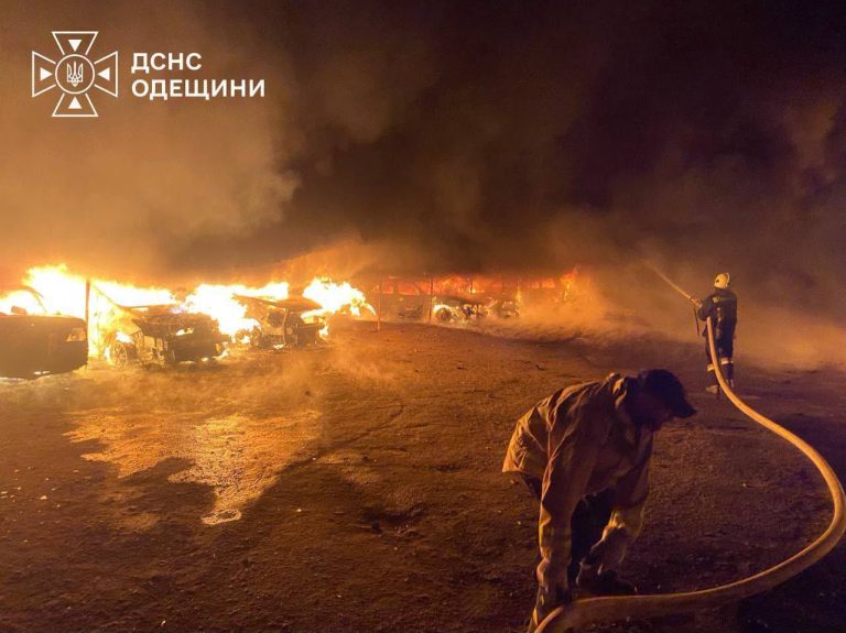 Росіяни атакували притулок для тварин на Одещині (ФОТО)