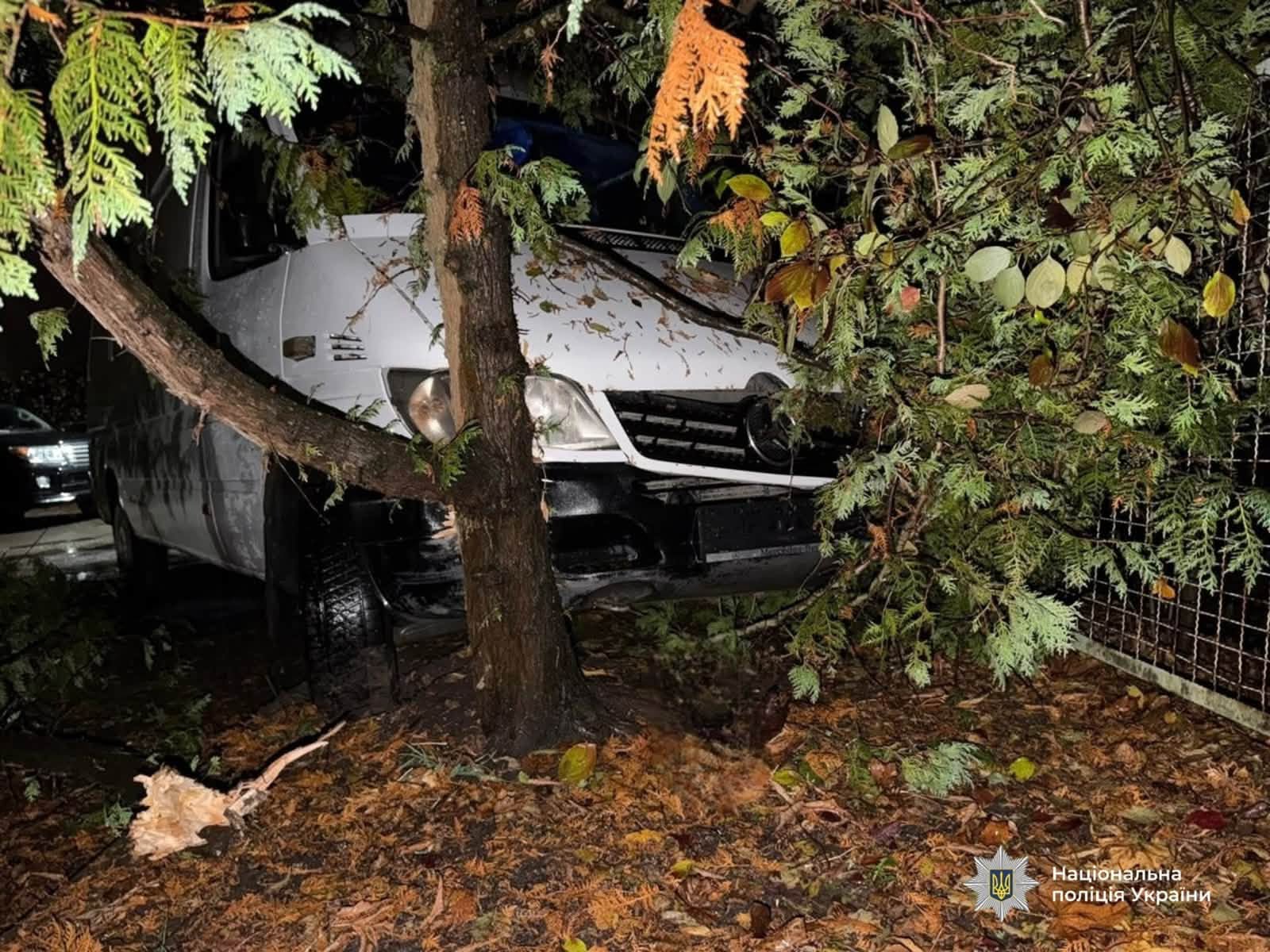 У Франківську п'яна жінка сіла за кермо чужого авто і врізалася в дерево (ФОТО) 3 867132402 1130789386261956 6884950801558526338 n