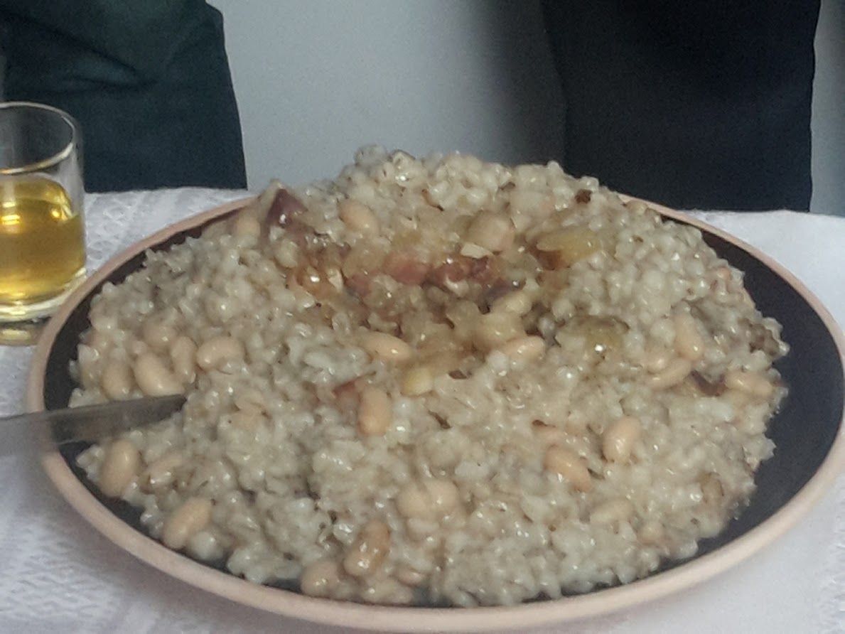 Kvasolya 8