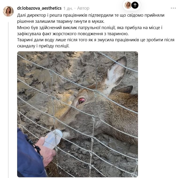 Загибель олениці у контактному зоопарку в Поляниці: поліція розпочала перевірку (ФОТО) 4 Znimok ekrana 2026 10 28 105141