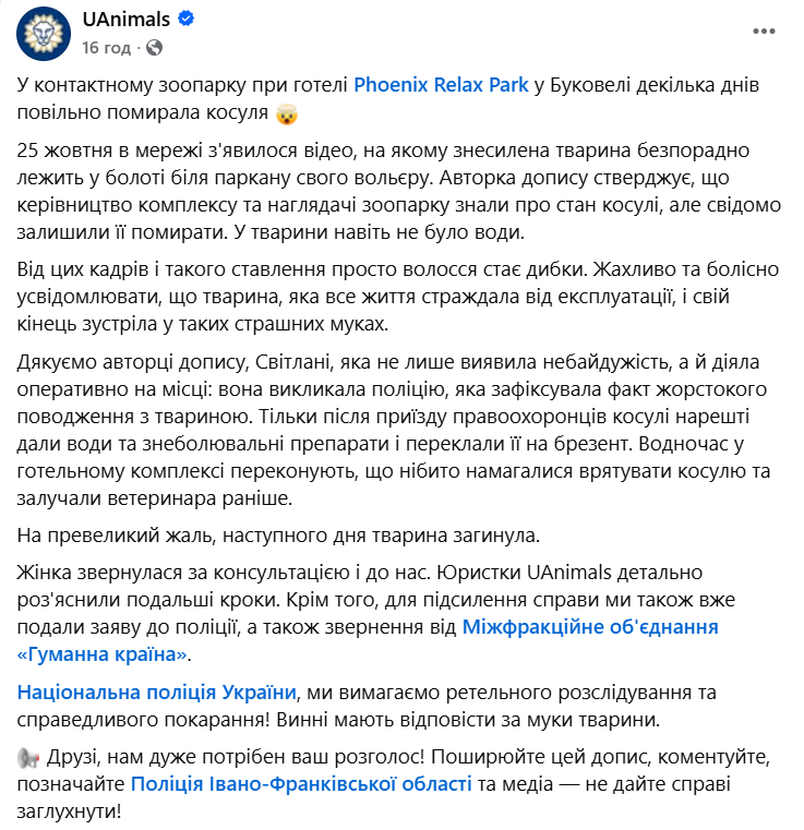Загибель олениці у контактному зоопарку в Поляниці: поліція розпочала перевірку (ФОТО) 5 Znimok ekrana 2026 10 28 111303