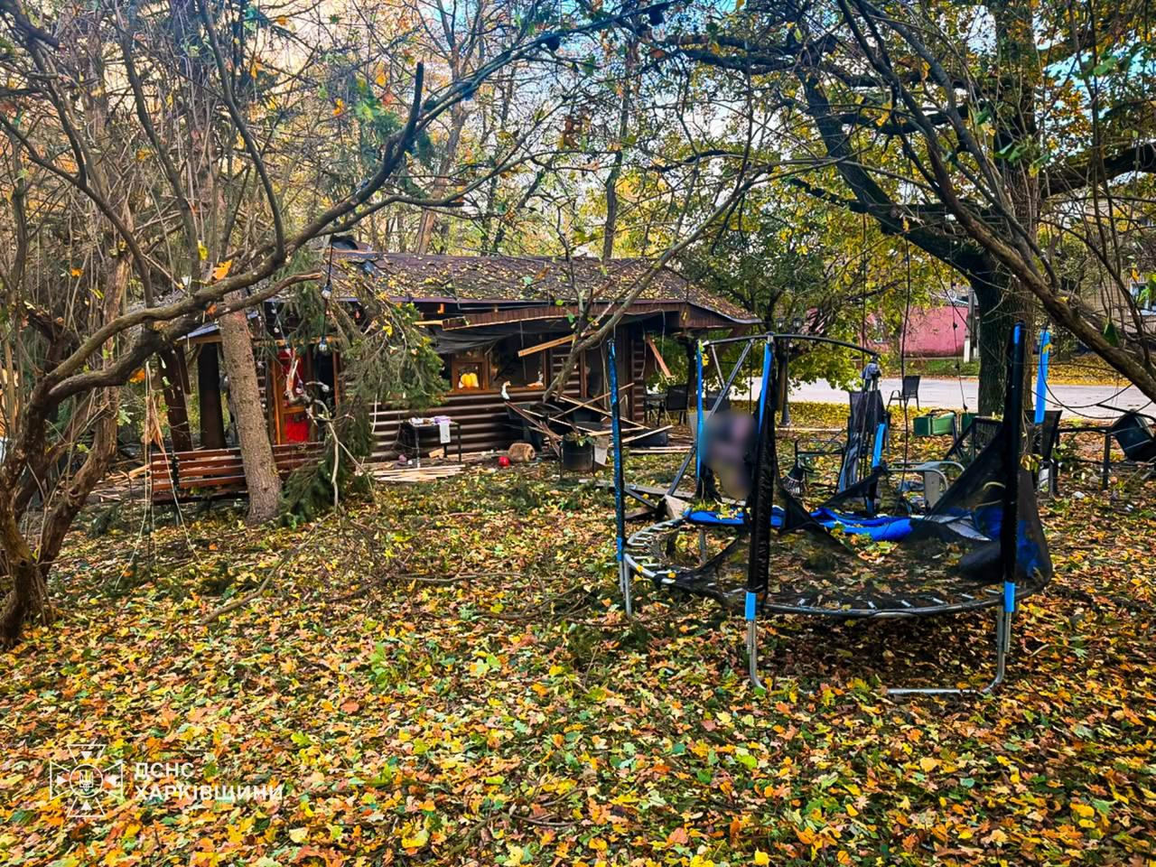 Росіяни вдарили по парку на Харківщині: загинули шестеро людей, серед них немовля (ФОТО) 2 photo 2026 10 19 17 32 45